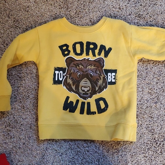 Boys 2T sweaters...sold as a bundle - Picture 13 of 16